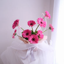 Load image into Gallery viewer, Jolie