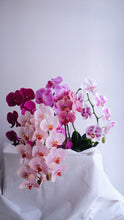 Load image into Gallery viewer, Orchid Novelty