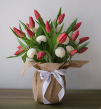 Load image into Gallery viewer, Tulips de Pom