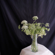 Load image into Gallery viewer, Ammimajus