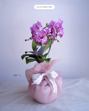 Load image into Gallery viewer, Orchid Sakura