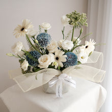 Load image into Gallery viewer, Tropicalola