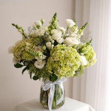 Load image into Gallery viewer, Grand De Horten