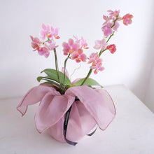 Load image into Gallery viewer, Orchid Sakura