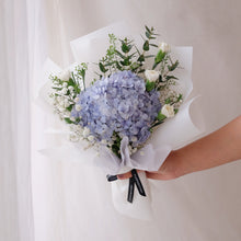 Load image into Gallery viewer, Mini Hydra