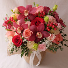 Load image into Gallery viewer, Beau Rouge