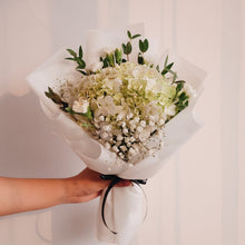 Load image into Gallery viewer, Mini Hydra