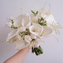 Load image into Gallery viewer, Asticalla