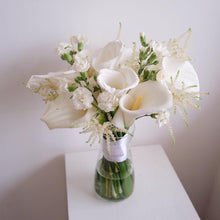 Load image into Gallery viewer, Asticalla