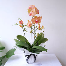 Load image into Gallery viewer, Orchid Sakura