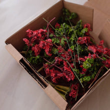 Load image into Gallery viewer, Dried Flower Cut Mix