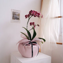 Load image into Gallery viewer, Orchid Sakura