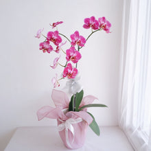 Load image into Gallery viewer, Orchid Novelty