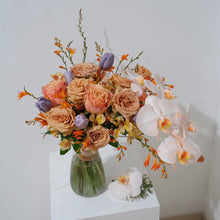 Load image into Gallery viewer, Moonlight Breeze