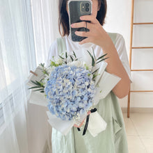 Load image into Gallery viewer, Mini Hydra