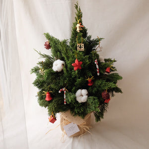 Carol Christmas Tree